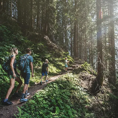 Daire In Near Slopes, Cleaning Included Saalfelden